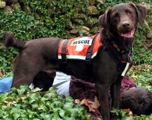 Major Search & Rescue training